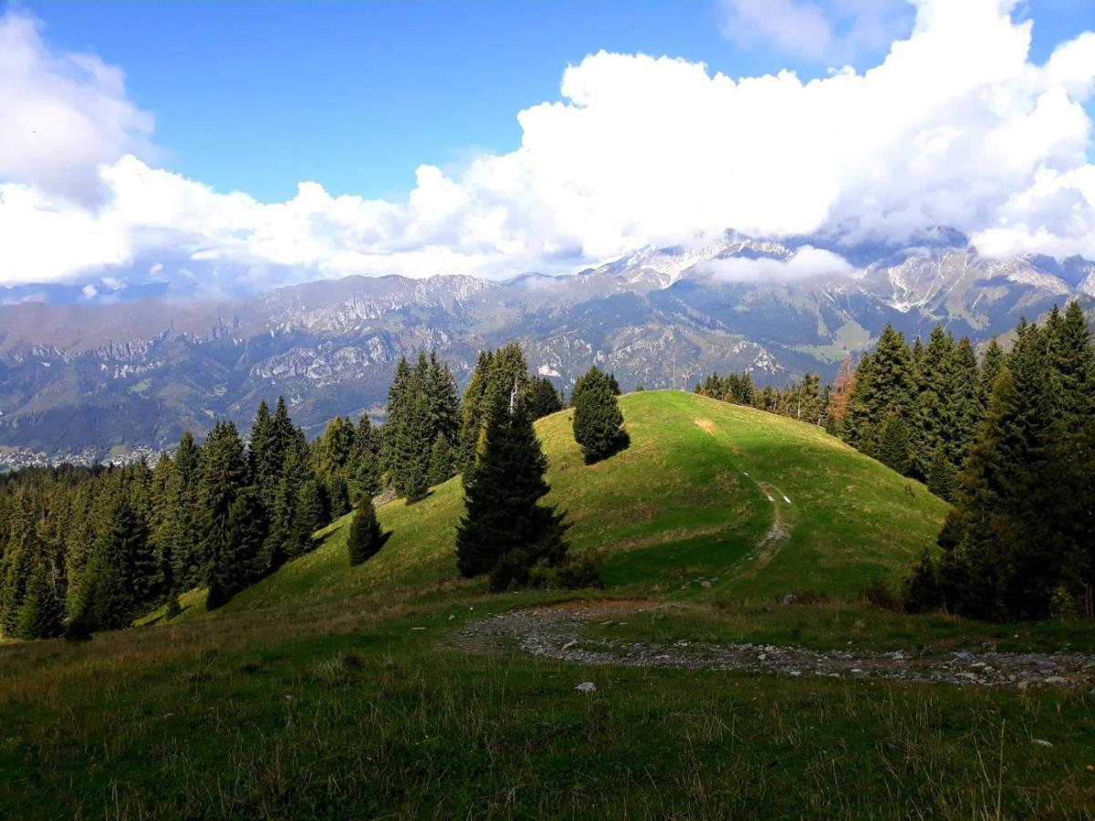 Appartement 181 - Casa Arcobaleno Tra Le Alpi, Piste Da Sci A 15 Minuti à Castione della Presolana Extérieur photo